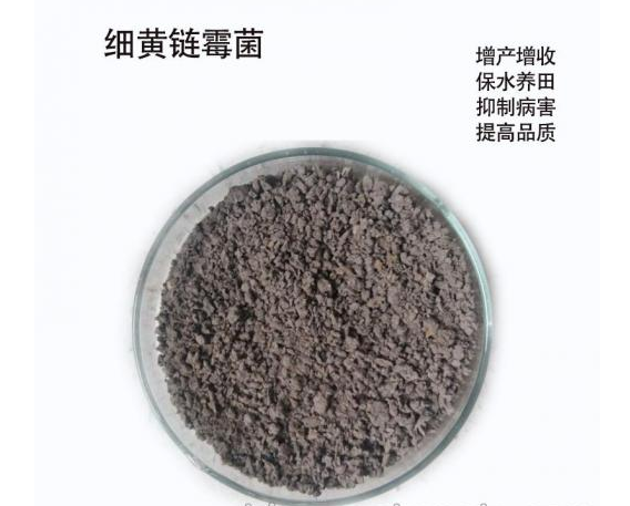 細(xì)黃鏈霉菌