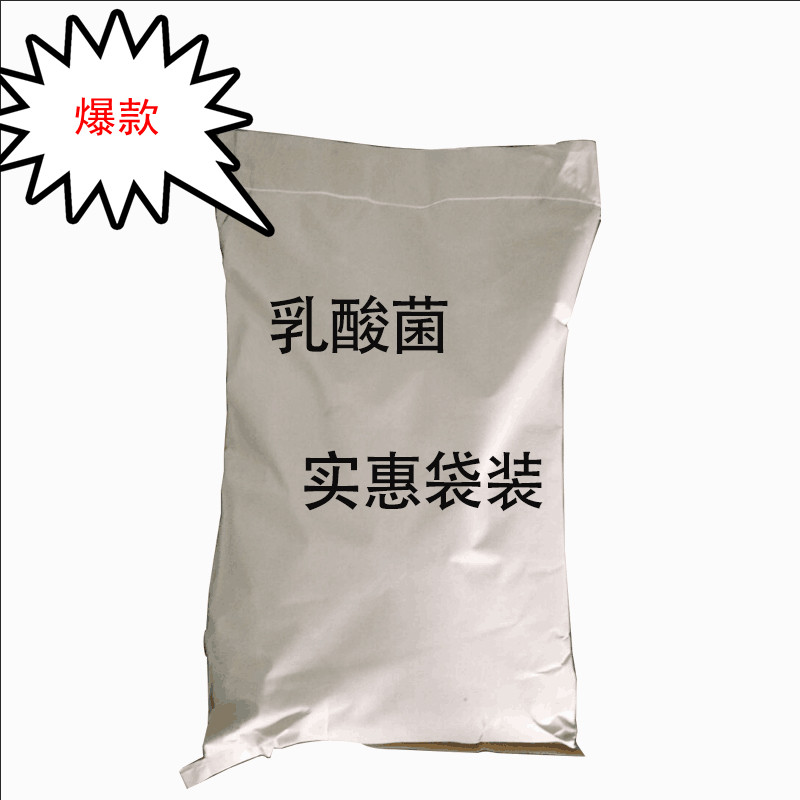 乳酸菌原始圖片3