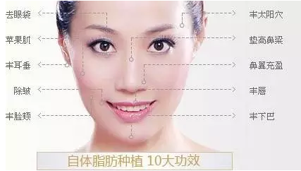 【德州專業(yè)整形醫(yī)院】自體脂肪移植——把“垃圾”變成“財富”原始圖片2