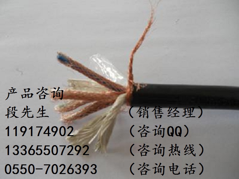 JXF-1*25電機引接線