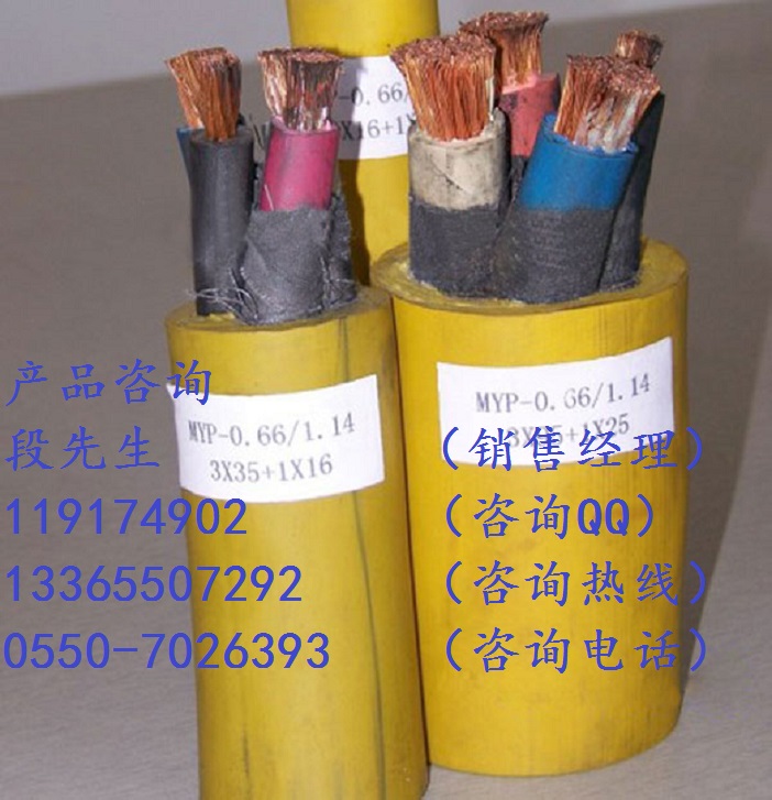 YCW-3*95+1*50橡套電纜原始圖片2