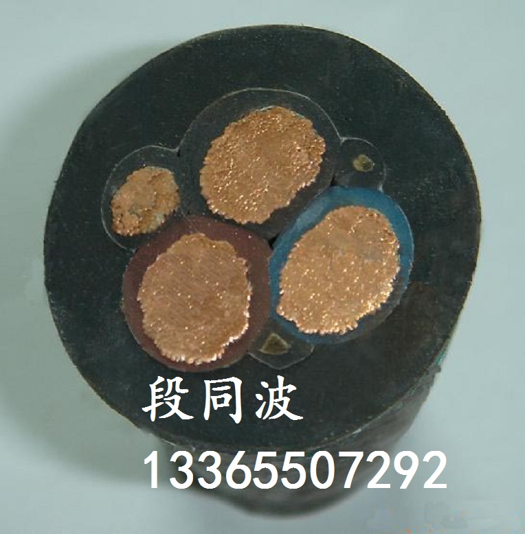 YCW-3*95+1*50橡套電纜原始圖片3