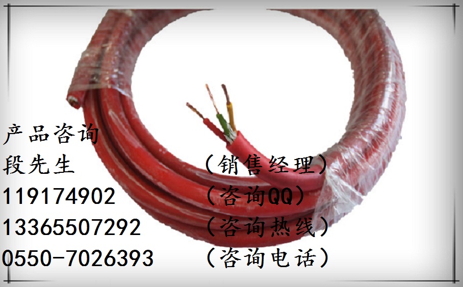 YGCR-3*1.0硅橡膠電纜  原始圖片3
