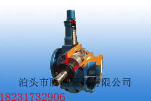 YCB20/0.6電機功率7.5KW圓弧齒輪泵不銹鋼和鐵的哪個好?原始圖片3