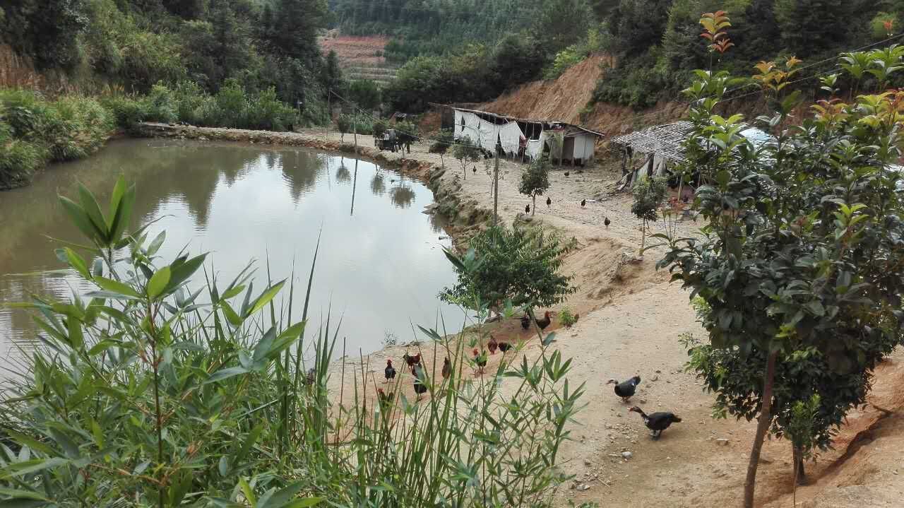 福州小區蔬菜配送，價格適中的蔬菜批發市場推薦