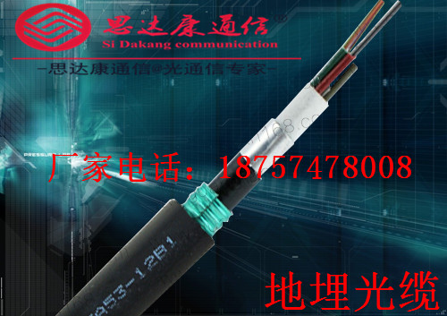 96芯GYTA53地埋光纜銷售原始圖片2
