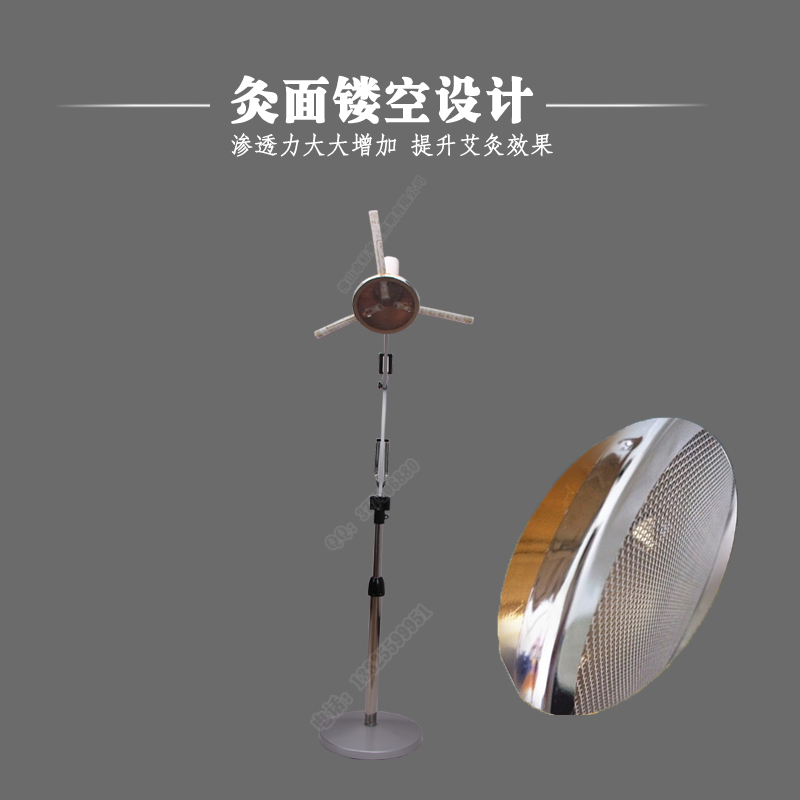 廠家直銷批發(fā) 立式艾灸儀艾灸儀器 美容院多功能雙頭溫灸儀