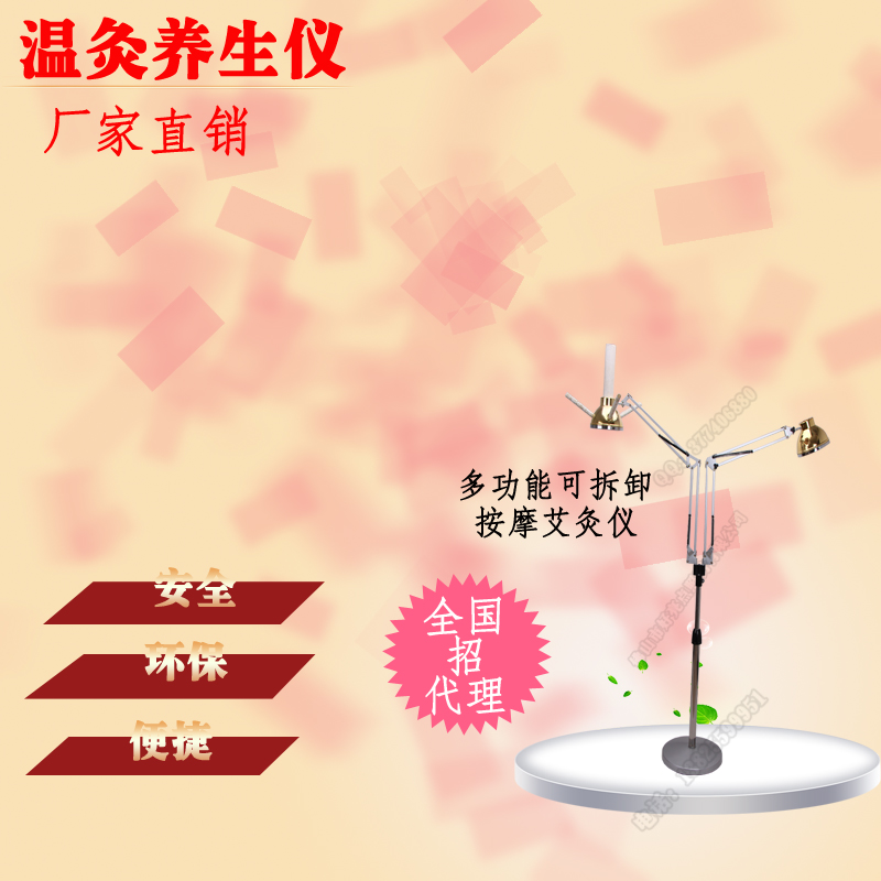 廠家生產批發艾灸儀器立式艾灸儀美容院養生保健儀溫灸儀原始圖片2