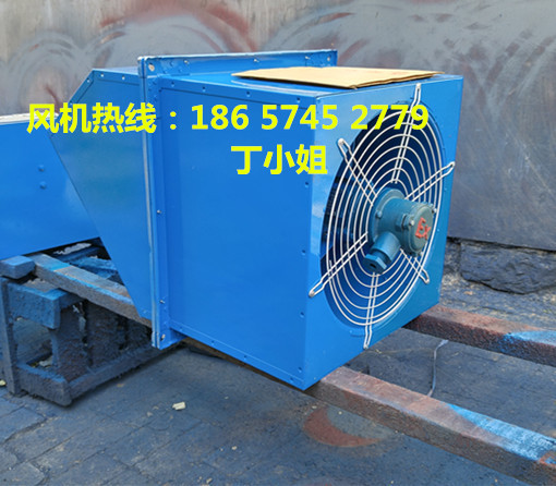 上虞上鼓風機WEX-300E4-1600m3/h-80w優(yōu)質(zhì)邊墻軸流風機原始圖片2