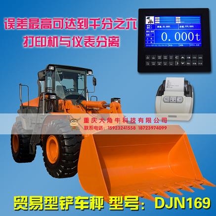 角牛儀器儀表——全國{lx1}的專業售后好的皮帶秤供應商，{bfb}高