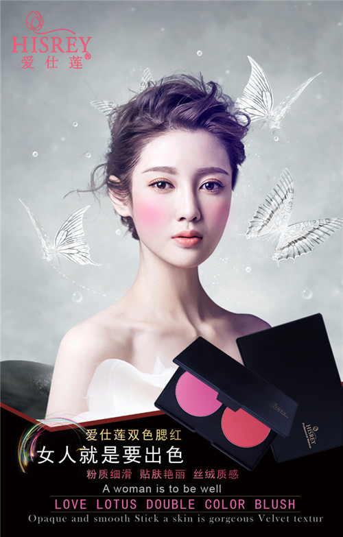 長春化妝學(xué)校彩妝批發(fā)加盟 化妝師用彩妝雙色腮紅廠家直供原始圖片2