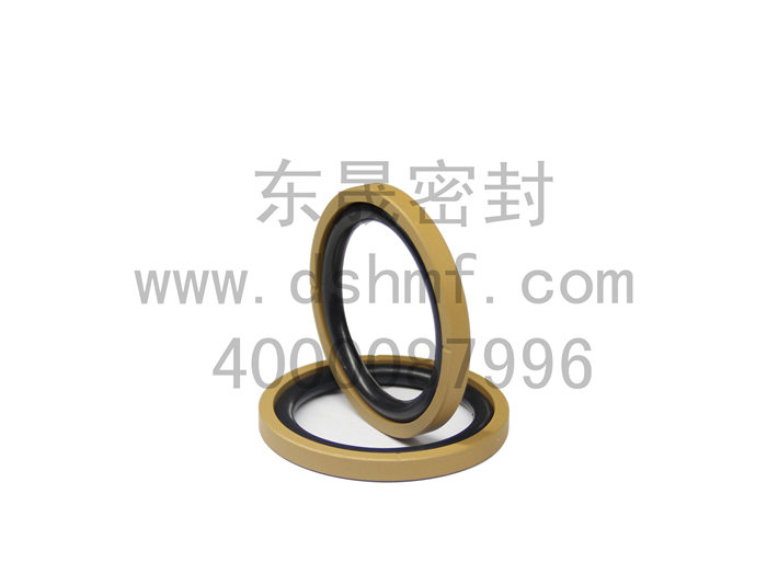 中國(guó)液壓密封件企業(yè)DSH東晟方型組合圈DSF密封圈