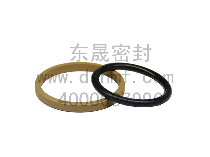 中國(guó)液壓密封件企業(yè)DSH東晟方型組合圈DSF密封圈原始圖片2