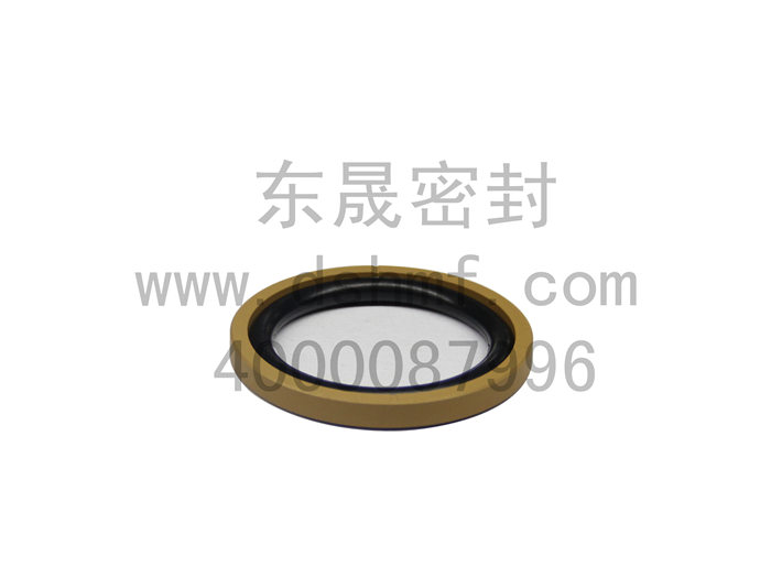 中國(guó)液壓密封件企業(yè)DSH東晟方型組合圈DSF密封圈原始圖片3