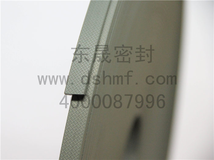 中國液壓密封件DSH東晟密封圈導(dǎo)向帶DST產(chǎn)品原始圖片3