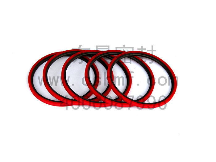 廣東機械設備密封件產品DSH-DMSS密封圈