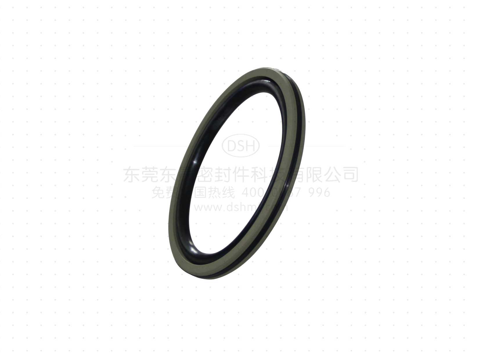 防塵圈公司 薄型組合防塵圈DSZL