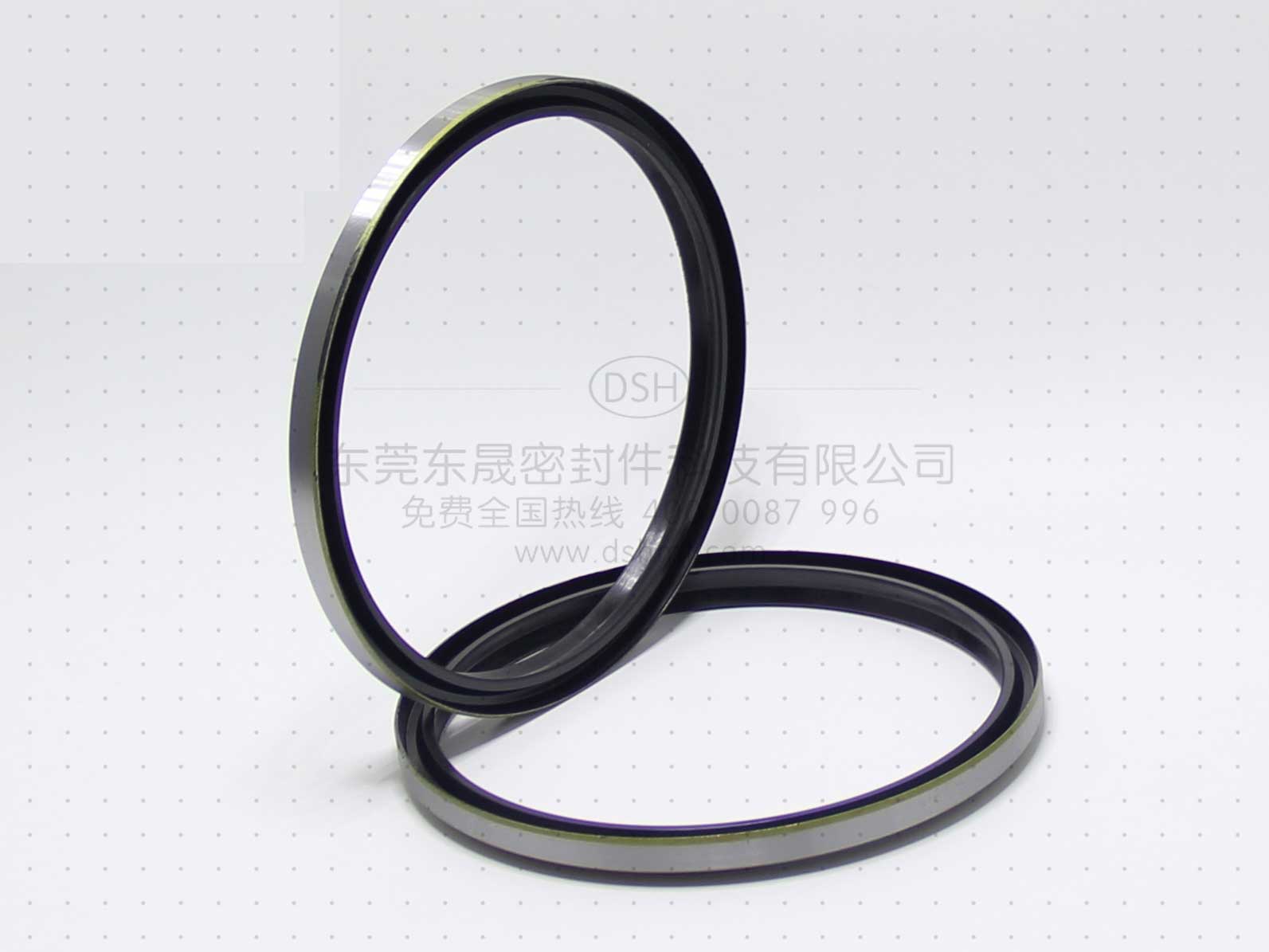 防塵圈規(guī)格型號(hào) 防塵圈dsh