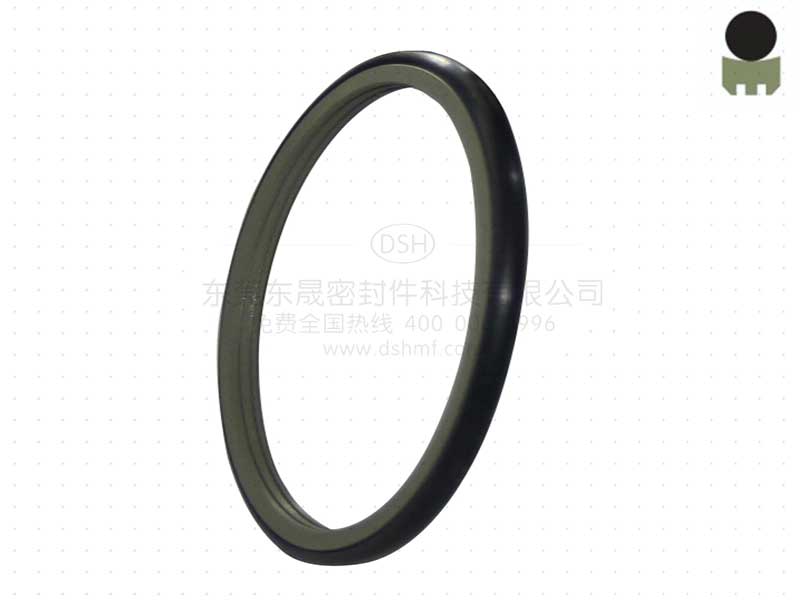 密封圈廠家 孔用旋轉(zhuǎn)組合密封件DRDA