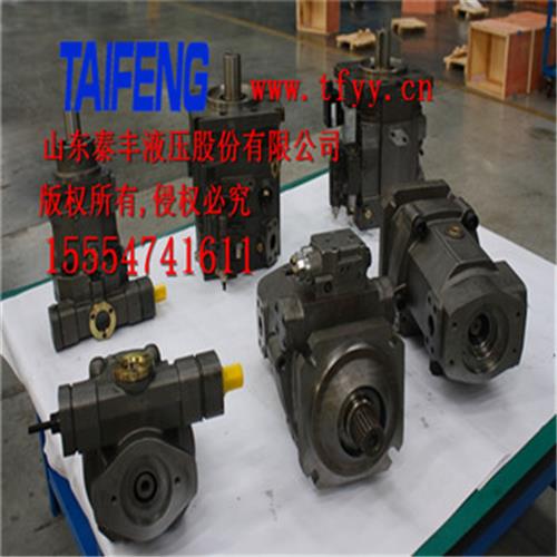 供应泰丰柱塞泵厂家直销价格实惠