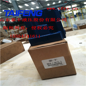 溢流閥DB10-10系列，廠價直銷
