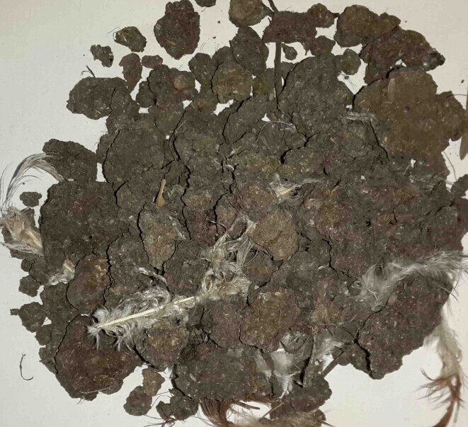 微生物菌肥哪個廠家的價格低--金沃地肥業有限公司