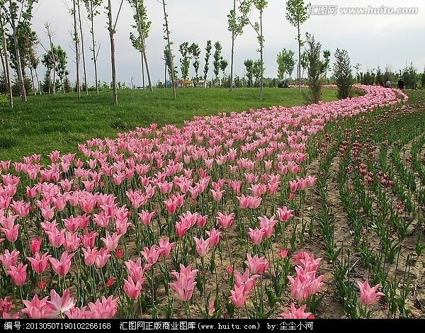 園林花卉景觀怎么樣 寧夏夢(mèng)綠園林綠化工程不二選|阿拉善盟園林花卉景觀