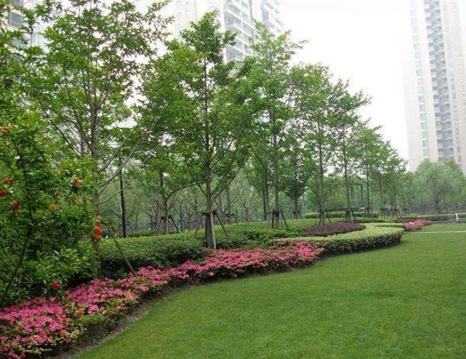 銀川園林花卉景觀設計|銀川園林花卉景觀|銀川花卉市場|寧夏夢綠園林綠化工程有限公司