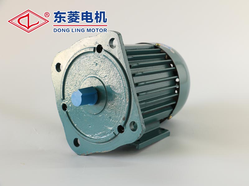 生鐵電機就選東菱|廣州鋁殼電動機