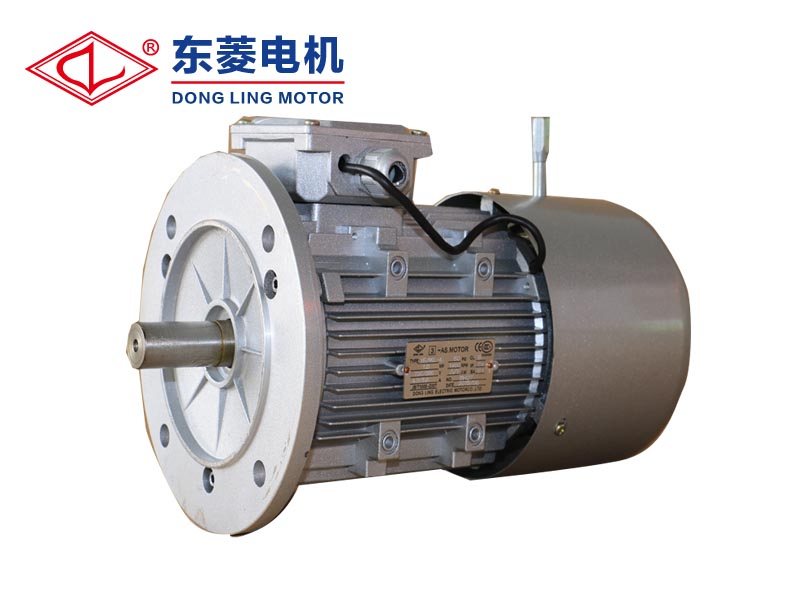 生鐵電機就選東菱|廣州鋁殼電動機