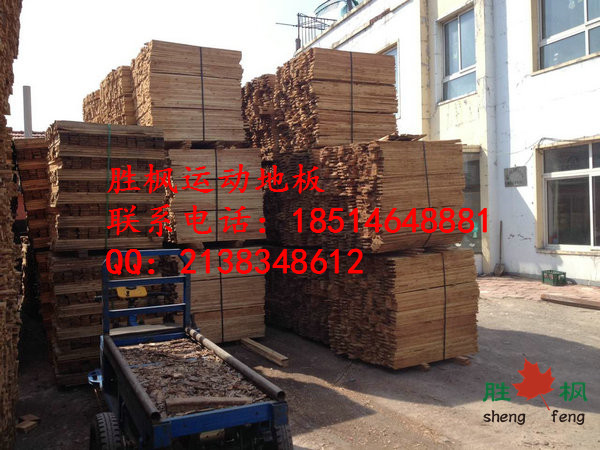 嘉峪關(guān)羽毛球?qū)嵞倔w育地板報(bào)價(jià)請(qǐng)致電勝楓