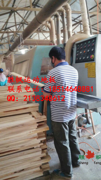 新疆克拉瑪依羽毛球?qū)Ｓ媚镜匕鍍r(jià)格請(qǐng)致電勝楓原始圖片2