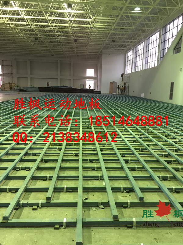 新疆克拉瑪依羽毛球?qū)Ｓ媚镜匕鍍r(jià)格請(qǐng)致電勝楓原始圖片3