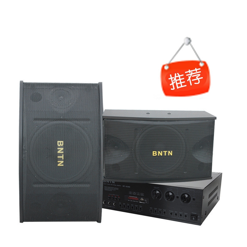 浙江省坦普電子專業(yè)音響，深受消費(fèi)者喜愛(ài)的奔騰音響品