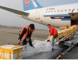寵物空運價格|杭州有信譽度的杭州寵物托運推薦