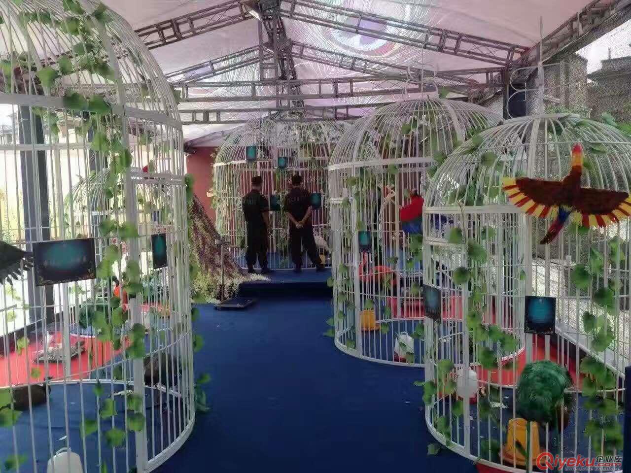 百鳥展覽百鳥租賃百鳥展租賃價(jià)格原始圖片2