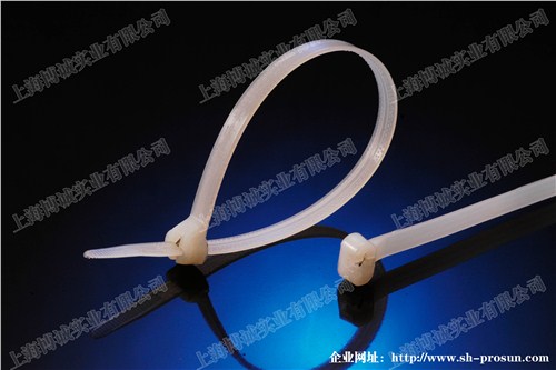 船用帶鋼扣扎帶廠家 船用帶鋼扣扎帶銷售 船用帶鋼扣扎帶價格 