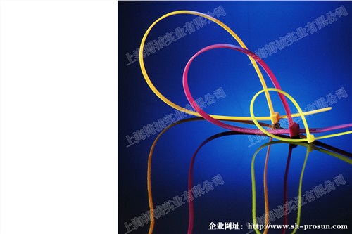 不銹鋼扎帶廠家 不銹鋼扎帶銷售 不銹鋼扎帶價格 上海博誠