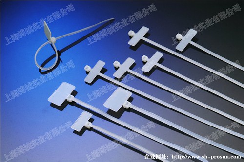 標(biāo)牌扎帶廠 標(biāo)牌扎帶銷售 標(biāo)牌扎帶規(guī)格 博誠(chéng)供
