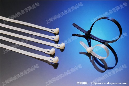 標(biāo)記牌扎帶廠 標(biāo)記牌扎帶銷售 標(biāo)記牌扎帶規(guī)格 博誠(chéng)供