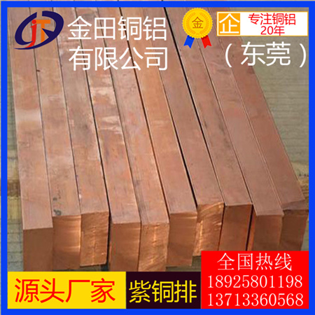 進(jìn)口紫銅排c1100紅銅排c11000 無氧銅排C10200紫銅排 紫銅扁條廠家直銷