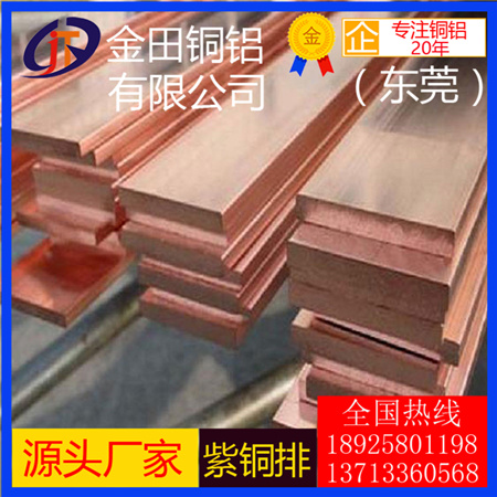 進(jìn)口紫銅排c1100紅銅排c11000 無氧銅排C10200紫銅排 紫銅扁條廠家直銷