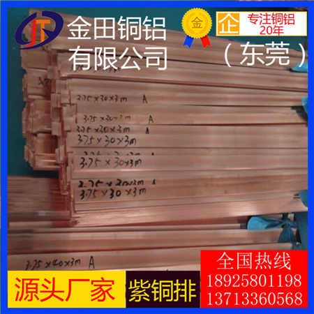 廠家直銷無氧銅排TU1、TU2、C1020、TUO T1紅銅排/深圳T2紫銅排
