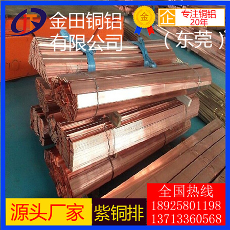 厂家直销磷脱氧铜排TP1、TP2、C1201、C1220 进口C1100紫铜条价格 T1紫铜条