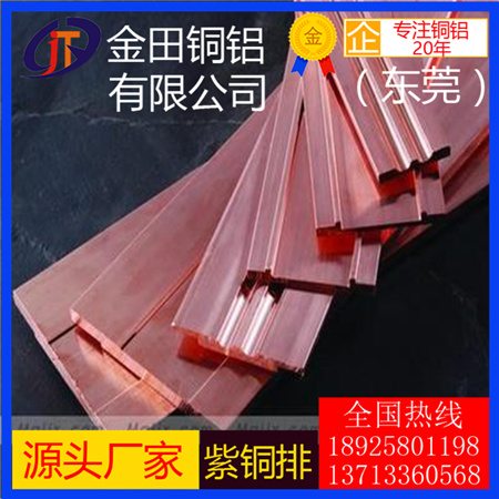 紫銅排廣東 紅銅排現(xiàn)貨紫銅排30*3/5*40/6*60/10*60/80*8/100*10/100*3mm 電力銅排