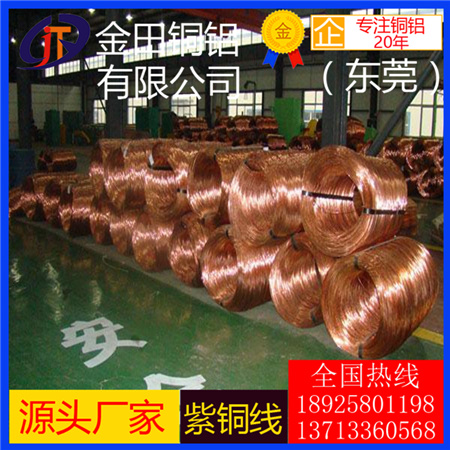 國產(chǎn)紫銅線T1、T2、T3、T4、T5、T6、T8紅銅絲 c1100、c11000進(jìn)口紅銅線