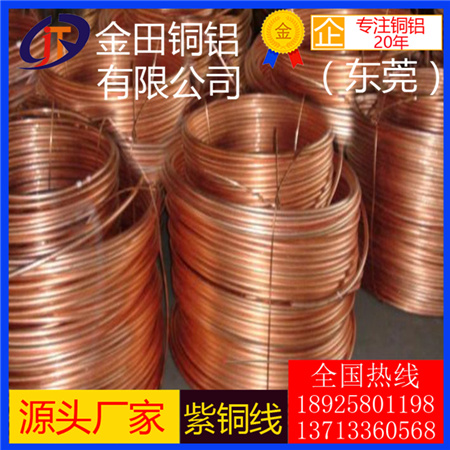 進(jìn)口C1100紫銅線 T1環(huán)保紫銅線 廈門T2半硬紫銅線 耐高溫TP2紫銅線