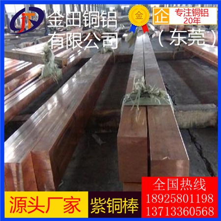 東莞六角紫銅棒現(xiàn)貨 TP2紫銅棒 T3紫銅棒四角 c11000紫銅棒接地銅棒