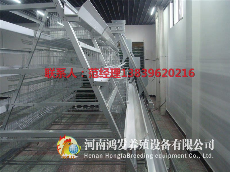 蛋雞籠|層疊雞籠|河南鴻發|廠家直銷