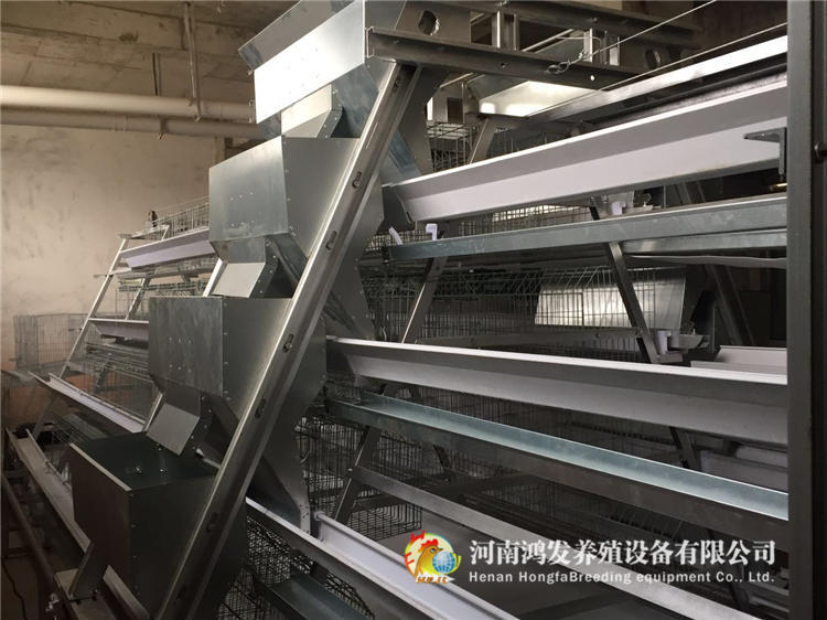 鴻發養殖設備廠家直銷階梯自動化撿蛋機層疊式集蛋系統原始圖片2
